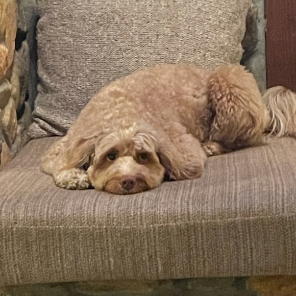 Meet your Posher, Jonna - Picture 1 of 1